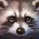 Raccoon icon.